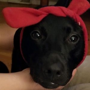 Meet your Posher, Helen